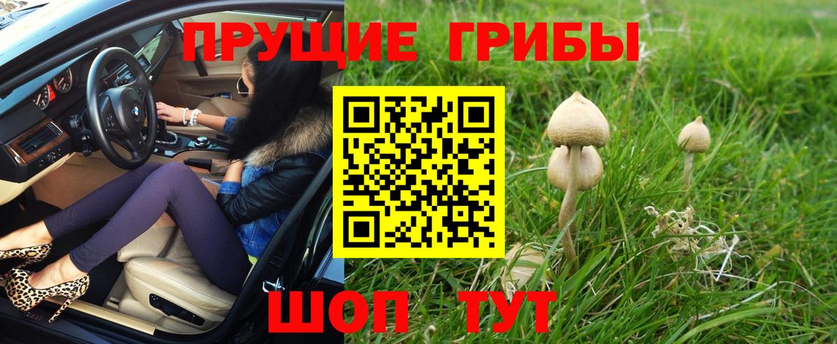 Галлюциногенные грибы Psilocybe  Вход с VPN  хочу   Ступино 